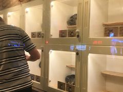 -龙猫仔乐园(惠福东路店)