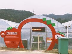 -建德果蔬乐园绪塘草莓基地