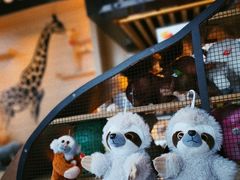 -ZOO COFFEE动物园咖啡(望京锐创店)