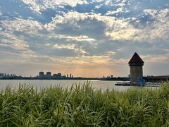 -九龙湖公园