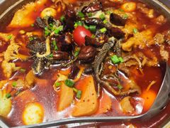 -眉州东坡·熊猫主题餐厅(枫蓝店)
