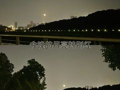 -月湖风景区