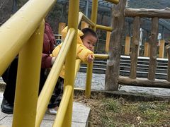 -无锡动物园·太湖欢乐园