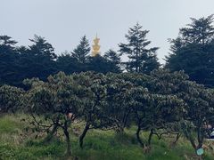 -峨眉山风景名胜区