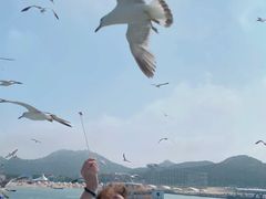 -海驴岛(荣成市)