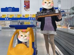 -麦德龙(浦东店)