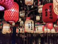 -深圳独角兽星空艺术馆