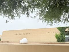 -恩格贝生态旅游区