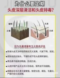 -Bollins波林丝•专研护发中心