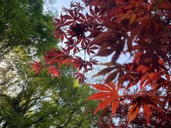 -南京市江宁方山