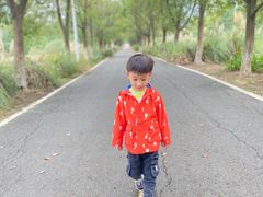 -艾溪湖湿地公园