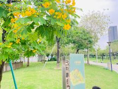 -海珠儿童公园