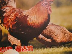 -锅老头海鲜铁锅炖