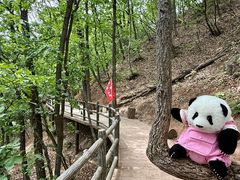 -栾川竹海野生动物园