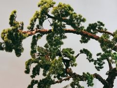 -苏小柳手作点心(控江旭辉分院)