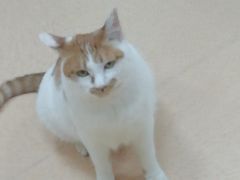 -惠康宠物医院(华能路店)