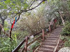 -海南铜鼓岭景区