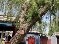 -张掖大佛寺景区