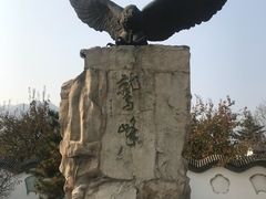-北京鹫峰国家森林公园