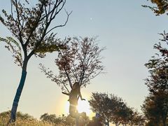 -阳澄湖半岛旅游度假区