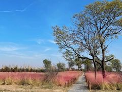 -汉长安城未央宫国家考古遗址公园