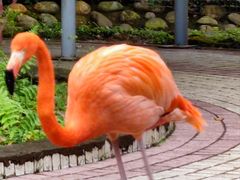 -广东茂名森林公园