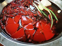 -黄潇洒老火锅(九眼桥宏济巷店)