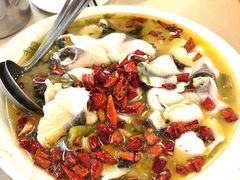 大盘酸菜鱼-张记旺角食街(动物园店)