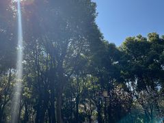 -重庆市江北嘴中央商务区中央公园