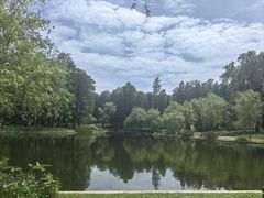 -上海共青森林公园