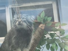-青藏高原野生动物园