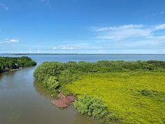 -东寨港红树林旅游区
