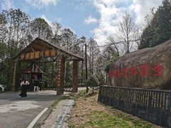 -四明山国家森林公园