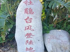 -广东惠东海龟国家级自然保护区