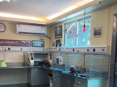 -动物缘宠物医院·骨科·猫科(西二环店)