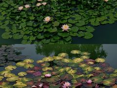 -国家植物园南园