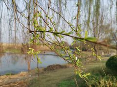 -中国天府农业博览园