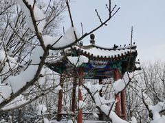 -北京凤凰岭