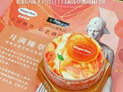 -哈根达斯(天河城店)