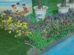 -天山海世界·米立方