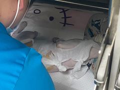 -美联众合动物医院·24h京西诊疗中心