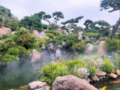 -罗红摄影艺术馆