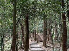 -滴水岩森林公园