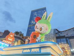 -泡泡玛特POPMART(天环购物中心店)