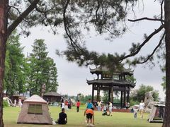 -东湖落雁景区