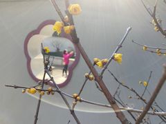 -无锡梅园公园