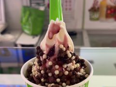 -Salud撒露欧洲冻酸奶(五道口购物中心店)