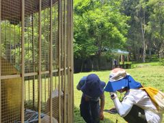 -福建鲤鱼洲酒店