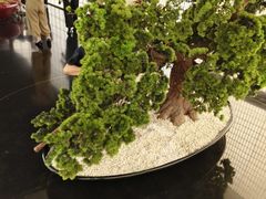 -长江路历史文化街区