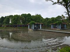 -洪湖家庭农场·团建·露营·会议